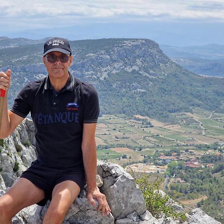 Trois Appartements Au Sein Du Mas Jams - Le Gouleyrous, Le Canigou Et Le Figarassa Vingrau Ngoại thất bức ảnh