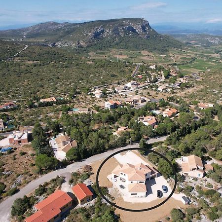 Trois Appartements Au Sein Du Mas Jams - Le Gouleyrous, Le Canigou Et Le Figarassa Vingrau Ngoại thất bức ảnh