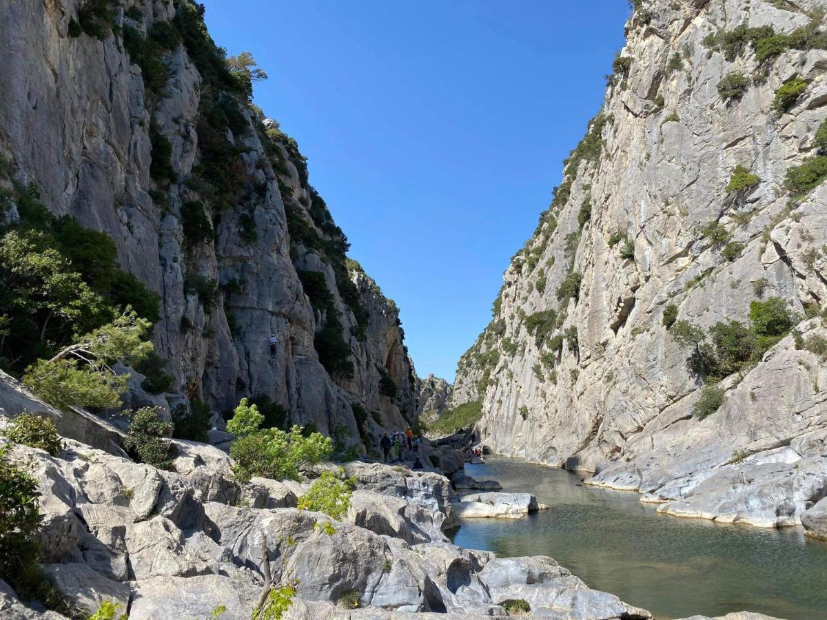 Trois Appartements Au Sein Du Mas Jams - Le Gouleyrous, Le Canigou Et Le Figarassa Vingrau Ngoại thất bức ảnh