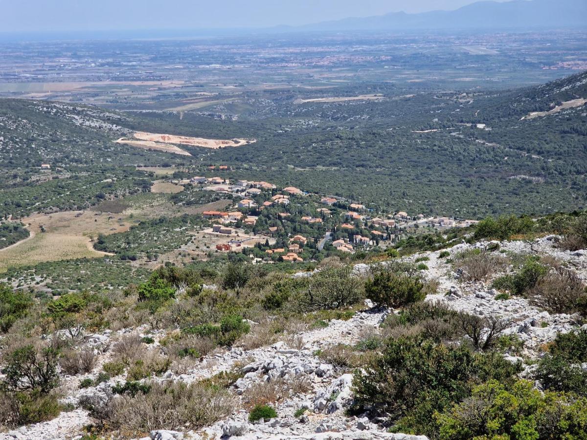 Trois Appartements Au Sein Du Mas Jams - Le Gouleyrous, Le Canigou Et Le Figarassa Vingrau Ngoại thất bức ảnh